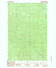 Ellis Mountain Washington Historical topographic map, 1:24000 scale, 7.5 X 7.5 Minute, Year 1984