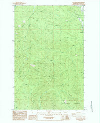 Ellis Mountain Washington Historical topographic map, 1:24000 scale, 7.5 X 7.5 Minute, Year 1984