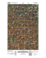 Ellis Mountain Washington Historical topographic map, 1:24000 scale, 7.5 X 7.5 Minute, Year 2011