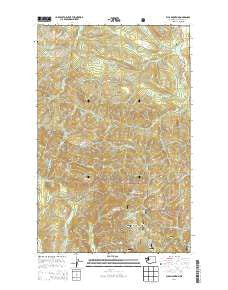Ellis Mountain Washington Current topographic map, 1:24000 scale, 7.5 X 7.5 Minute, Year 2014