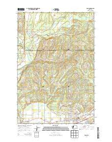 Elma Washington Current topographic map, 1:24000 scale, 7.5 X 7.5 Minute, Year 2014