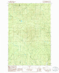 Elochoman Lake Washington Historical topographic map, 1:24000 scale, 7.5 X 7.5 Minute, Year 1986