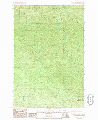 Elochoman Pass Washington Historical topographic map, 1:24000 scale, 7.5 X 7.5 Minute, Year 1986