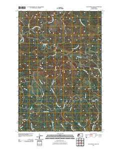 Elochoman Lake Washington Historical topographic map, 1:24000 scale, 7.5 X 7.5 Minute, Year 2011