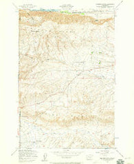 Emerson Nipple Washington Historical topographic map, 1:24000 scale, 7.5 X 7.5 Minute, Year 1948