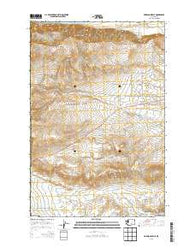 Emerson Nipple Washington Current topographic map, 1:24000 scale, 7.5 X 7.5 Minute, Year 2013
