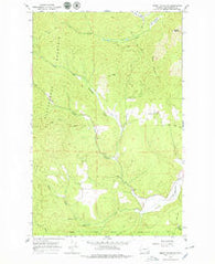 Empey Mountain Washington Historical topographic map, 1:24000 scale, 7.5 X 7.5 Minute, Year 1965