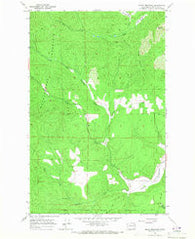 Empey Mountain Washington Historical topographic map, 1:24000 scale, 7.5 X 7.5 Minute, Year 1965