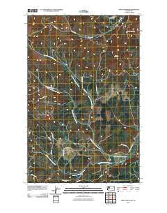 Empey Mountain Washington Historical topographic map, 1:24000 scale, 7.5 X 7.5 Minute, Year 2011