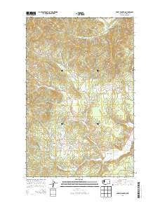 Empey Mountain Washington Current topographic map, 1:24000 scale, 7.5 X 7.5 Minute, Year 2014
