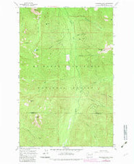 Evergreen Mtn Washington Historical topographic map, 1:24000 scale, 7.5 X 7.5 Minute, Year 1965