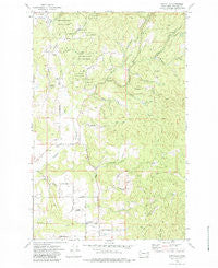 Foothills Washington Historical topographic map, 1:24000 scale, 7.5 X 7.5 Minute, Year 1973