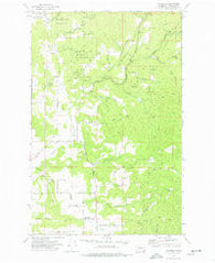 Foothills Washington Historical topographic map, 1:24000 scale, 7.5 X 7.5 Minute, Year 1973