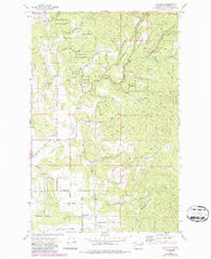 Foothills Washington Historical topographic map, 1:24000 scale, 7.5 X 7.5 Minute, Year 1973