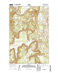 Forest Center Washington Current topographic map, 1:24000 scale, 7.5 X 7.5 Minute, Year 2014