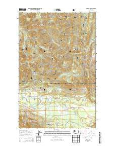Fortson Washington Current topographic map, 1:24000 scale, 7.5 X 7.5 Minute, Year 2014