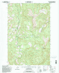 French Butte Washington Historical topographic map, 1:24000 scale, 7.5 X 7.5 Minute, Year 1994