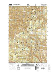 Frost Mountain Washington Current topographic map, 1:24000 scale, 7.5 X 7.5 Minute, Year 2014
