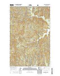 Galena Point Washington Current topographic map, 1:24000 scale, 7.5 X 7.5 Minute, Year 2014