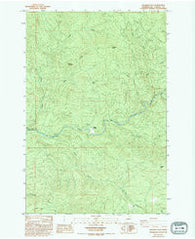 Georges Peak Washington Historical topographic map, 1:24000 scale, 7.5 X 7.5 Minute, Year 1985