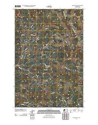 Georges Peak Washington Historical topographic map, 1:24000 scale, 7.5 X 7.5 Minute, Year 2011