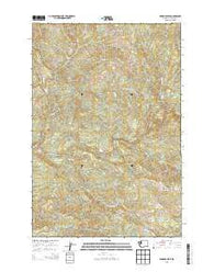 Georges Peak Washington Current topographic map, 1:24000 scale, 7.5 X 7.5 Minute, Year 2013