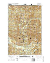 Glacier Washington Current topographic map, 1:24000 scale, 7.5 X 7.5 Minute, Year 2014