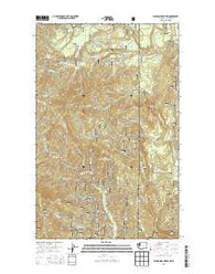 Gleason Mountain Washington Current topographic map, 1:24000 scale, 7.5 X 7.5 Minute, Year 2014