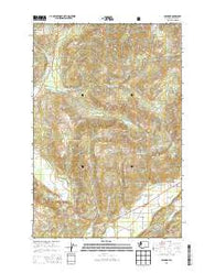 Glenoma Washington Current topographic map, 1:24000 scale, 7.5 X 7.5 Minute, Year 2013