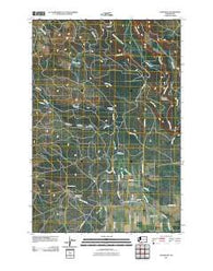 Glenwood Washington Historical topographic map, 1:24000 scale, 7.5 X 7.5 Minute, Year 2011
