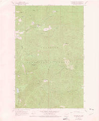 Goddards Peak Washington Historical topographic map, 1:24000 scale, 7.5 X 7.5 Minute, Year 1964