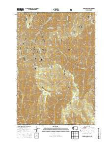 Godman Spring Washington Current topographic map, 1:24000 scale, 7.5 X 7.5 Minute, Year 2014
