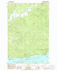Grays River Washington Historical topographic map, 1:24000 scale, 7.5 X 7.5 Minute, Year 1985