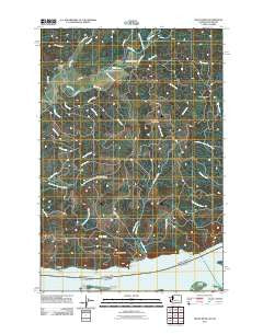 Grays River Washington Historical topographic map, 1:24000 scale, 7.5 X 7.5 Minute, Year 2011