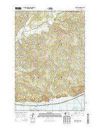 Grays River Washington Current topographic map, 1:24000 scale, 7.5 X 7.5 Minute, Year 2013