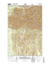 Grisdale Washington Current topographic map, 1:24000 scale, 7.5 X 7.5 Minute, Year 2014