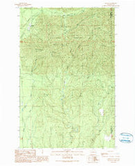 Grisdale Washington Historical topographic map, 1:24000 scale, 7.5 X 7.5 Minute, Year 1990