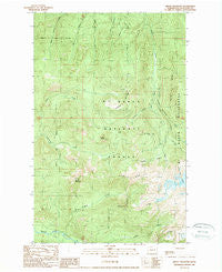 Groat Mountain Washington Historical topographic map, 1:24000 scale, 7.5 X 7.5 Minute, Year 1989