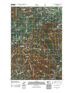 Guler Mountain Washington Historical topographic map, 1:24000 scale, 7.5 X 7.5 Minute, Year 2011
