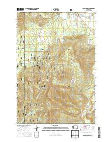 Guler Mountain Washington Current topographic map, 1:24000 scale, 7.5 X 7.5 Minute, Year 2014