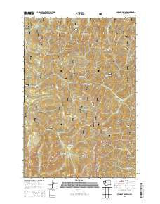 Gumboot Mountain Washington Current topographic map, 1:24000 scale, 7.5 X 7.5 Minute, Year 2013