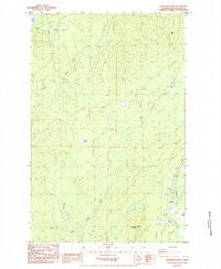 Gunderson Mtn Washington Historical topographic map, 1:24000 scale, 7.5 X 7.5 Minute, Year 1984