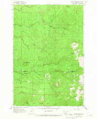 Hagerty Butte Washington Historical topographic map, 1:24000 scale, 7.5 X 7.5 Minute, Year 1965