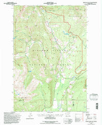 Hamilton Buttes Washington Historical topographic map, 1:24000 scale, 7.5 X 7.5 Minute, Year 1994