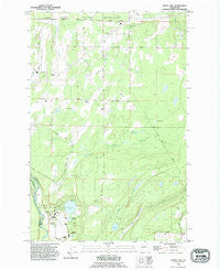 Harts Lake Washington Historical topographic map, 1:24000 scale, 7.5 X 7.5 Minute, Year 1990