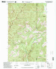 Helmer Mountain Washington Historical topographic map, 1:24000 scale, 7.5 X 7.5 Minute, Year 1996