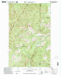 Helmer Mountain Washington Historical topographic map, 1:24000 scale, 7.5 X 7.5 Minute, Year 1996