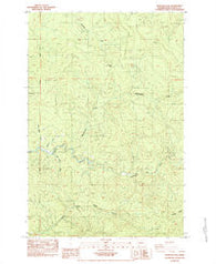 Hemlock Pass Washington Historical topographic map, 1:24000 scale, 7.5 X 7.5 Minute, Year 1984