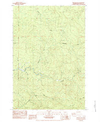 Hemlock Pass Washington Historical topographic map, 1:24000 scale, 7.5 X 7.5 Minute, Year 1984