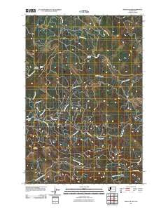 Hemlock Pass Washington Historical topographic map, 1:24000 scale, 7.5 X 7.5 Minute, Year 2011